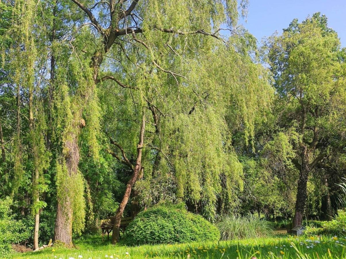 Le Moulin De Benneville Chambres D'Hotes, Petit Dejeuner Compris Cahagnes Bagian luar foto